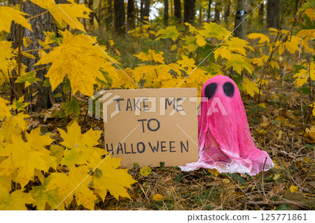 Halloween holiday concept. Handmade pink ghost with cardboard message TAKE ME TO HALLOWEEN made from bandages and glue in autumn forest background. Children's art project. DIY Halloween holiday concept. Handmade pink ghost with cardboard message TAKE ME TO HALLOWEEN made from bandages and glue in autumn forest background. Children's art project. DIY 125771861