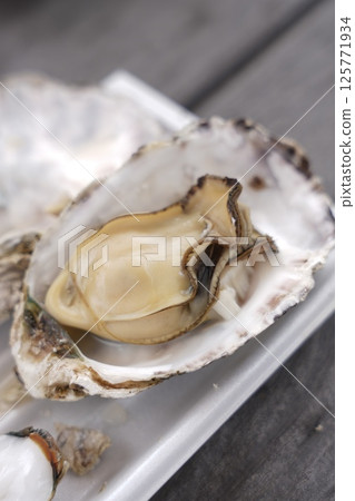 Steamed oysters with delicious shells 125771934