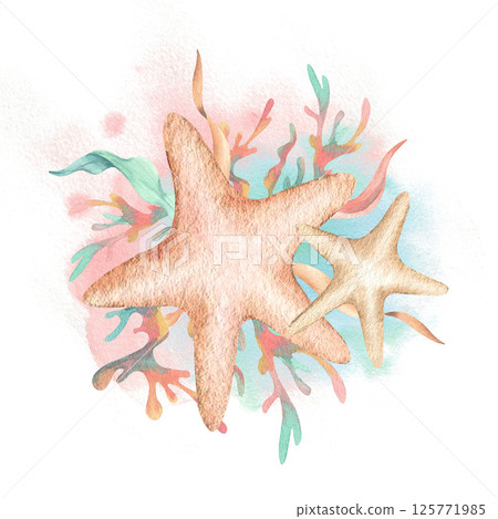 Starfishes with algae composition on pink mint watercolor spot. Hand drawn illustration isolated from background. Seaweed, coral in cartoon style, animated film for children's sea marine theme design Starfishes with algae composition on pink mint watercolor spot. Hand drawn illustration isolated from background. Seaweed, coral in cartoon style, animated film for children's sea marine theme design 125771985