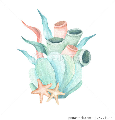 Seashell with algae, starfishes, corals composition. Hand drawn watercolor illustration isolated from background. Underwater seaweed for kids sea design, stationary, typography, aquarium theme poster 125771988