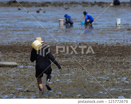 Crowds of people on the beach at low tide are harvesting clams. Seafood industry, beach work, fishermen villages. 125772678