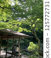 六義園 125772731