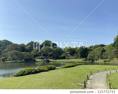 六義園大道 六義園大道 125772733