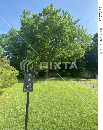 心之泉的遺跡:六義園 心之泉的遺跡:六義園 125772734
