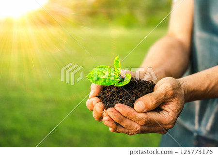 Men hands holding green seedling, sprout over soil. Top view with space for text. Copy space. New life, eco, sustainable living, zero waste, plastic free, earth day, investment concept. Gardening time 125773176