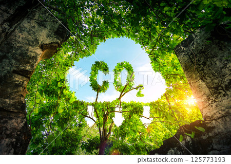 Concept depicting the issue of carbon dioxide emissions and its impact on nature in the form shape of a co2 symbol located in a lush forest. Reduce CO2 emission concept. Concept depicting the issue of carbon dioxide emissions and its impact on nature in the form shape of a co2 symbol located in a lush forest. Reduce CO2 emission concept. 125773193
