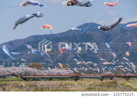 Spring view of Mt. Ibuki from Aikawa, Tarui Town 125773225