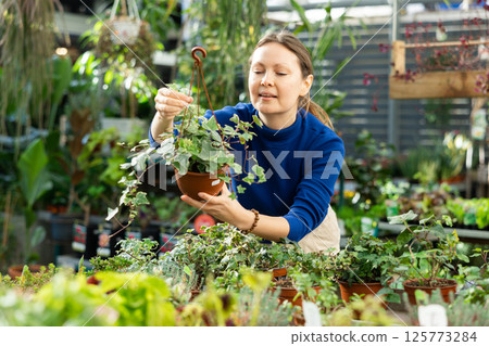 Woman buying common ivy at flower shop Woman buying common ivy at flower shop 125773284