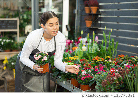 Woman inspects garden carnation flowers for injury in pots Woman inspects garden carnation flowers for injury in pots 125773351