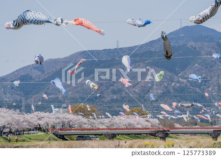 Carp streamers flying over Aikawa in Tarui Town Carp streamers flying over Aikawa in Tarui Town 125773389