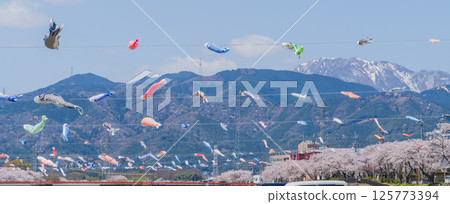 Carp streamers flying over Aikawa in Tarui Town 125773394