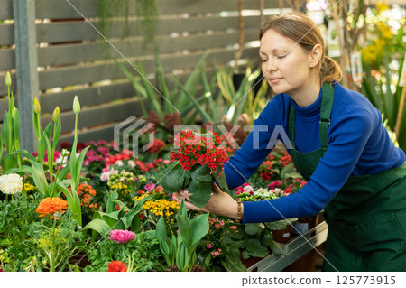 Woman seller holding kalanchoe blossomfeld in flower shop 125773915