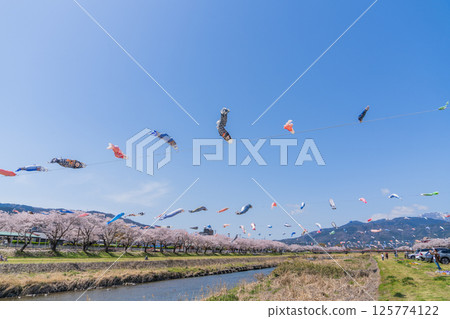 春季垂井町相川上空飄揚的鯉魚旗 125774122