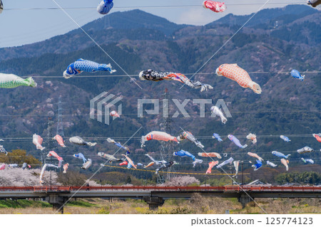 春季垂井町相川上空飄揚的鯉魚旗 125774123