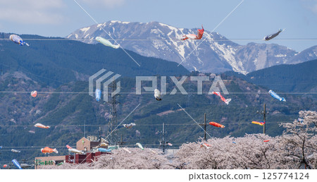 春季垂井町相川上空飄揚的鯉魚旗 春季垂井町相川上空飄揚的鯉魚旗 125774124