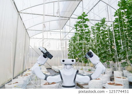 Agricultural industry with artificial intelligence robots concept 125774451