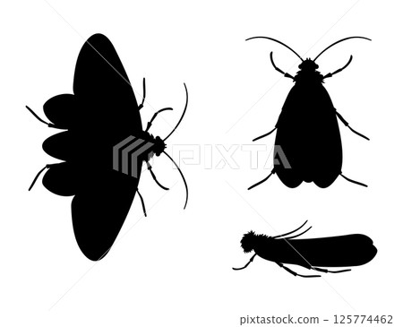 Clothes moth silhouette in different positions, common house pest 125774462