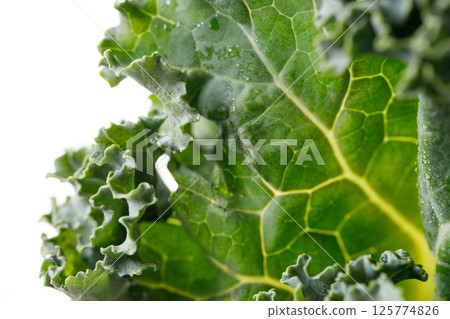 Fresh green Kale leaf salad vegetable with water drops background. 125774826