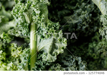 Fresh green Kale leaf salad vegetable. Fresh green Kale leaf salad vegetable. 125774846