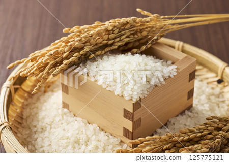 rice in a bowl rice in a bowl 125775121