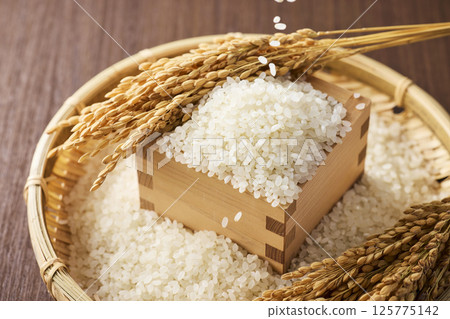 碗裡的米飯 125775142