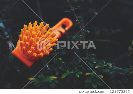 Orange brush for cleaning in green evening garden Orange brush for cleaning in green evening garden 125775255