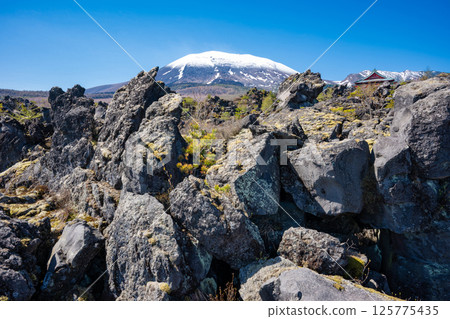 Snow-covered Mt. Asama and the strange rock formations of Onioshidashi Park 125775435