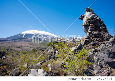 Snow-covered Mt. Asama and the strange rock formations of Onioshidashi Park Snow-covered Mt. Asama and the strange rock formations of Onioshidashi Park 125775441