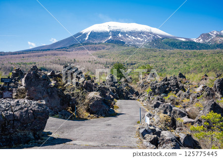 Snow-covered Mt. Asama and the strange rock formations of Onioshidashi Park 125775445