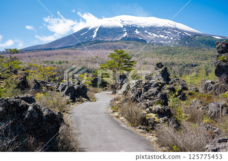 Snow-covered Mt. Asama and the strange rock formations of Onioshidashi Park 125775453