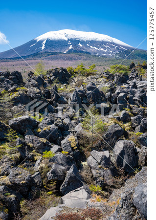白雪皚皚的淺間山和鬼押出公園奇特的岩層 125775457