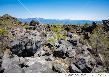 A great panorama from Onioshidashi Park 125775467