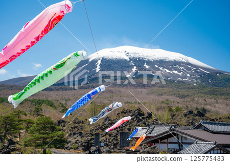 Snow-covered Mt. Asama and carp streamers at Onioshidashi Park 125775483