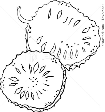 Soursop  Fruit  Outline Illustration 125775852