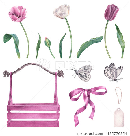 Wooden crate, tulips, butterflies, label and bow. Hand drawn watercolor illustration of garden blooming flowers and insects. Spring botanicals can be used as prints, greeting cards, posters, stickers 125776254