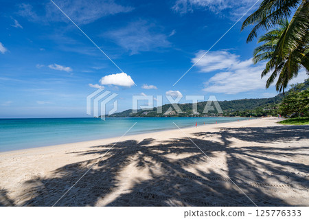 Beautiful beach background, Natural landscape with coconut palm trees on the beach at Phuket Thailand,Beach and sea in sunny day, Beach sea space area nature background 125776333