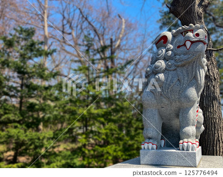 春天厚別神社美麗的獅子雕像 125776494