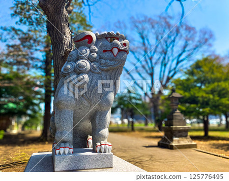 春天厚別神社美麗的獅子雕像 125776495
