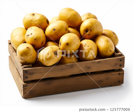 Freshly harvested yellow potatoes arranged in a wooden crate for market display 125777009
