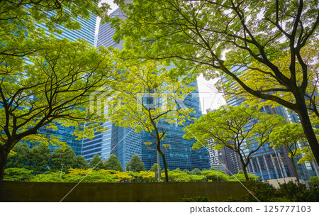 Green trees growing in front of modern buildings in sustainable city 125777103