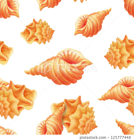 Sea shell seamless pattern with hand drawn tropical beach conches. One rapport of endless summer print for bedding, fabric, wallpaper, wrapping paper, textile, packaging or themed postcard decoration Sea shell seamless pattern with hand drawn tropical beach conches. One rapport of endless summer print for bedding, fabric, wallpaper, wrapping paper, textile, packaging or themed postcard decoration 125777448