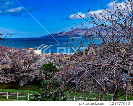 春天的小樽手宮公園 125777620