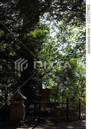 Susa Shrine Susa Shrine 125777902