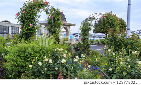 山下公園的春天 125778023