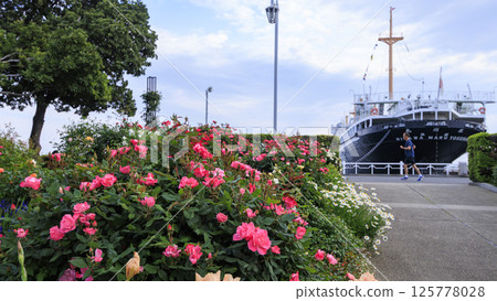 山下公園的春天 125778028