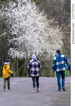 People Walking in Park with Blooming Trees 125778101