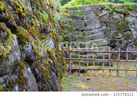 長滿苔蘚的石牆 長滿苔蘚的石牆 125778121