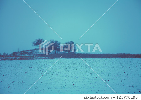 Winter rural landscape during snowfall. View of a field with trees on the horizon. Christmas background. Minimalist landscape 125778193