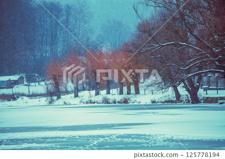 Frozen lake in winter. Winter rural landscape at snowfall Frozen lake in winter. Winter rural landscape at snowfall 125778194