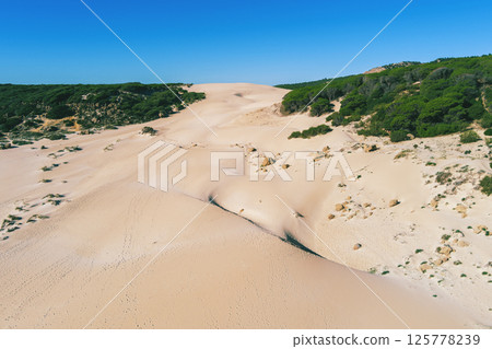 View from above of seascape with sandy Dune and pine forest. Playa Bolonia. Duna de Bolonia. Spain, Europe 125778239